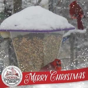 Meet your Posher, Cecilia